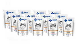 ENZO VET Urinary su jautienos ir vištienos želė katėms 12x100g