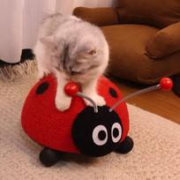 Katės braižymo kamuolys Mielas Lengvas Baldų apsauga Patogus Tvirtas Naminiams Katėms Sizalis ladybug
