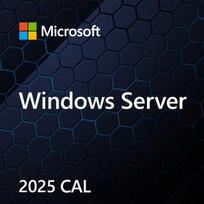 Microsoft Windows Server 2025 Standard