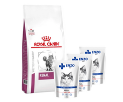 ROYAL CANIN Renal Feline RF 23 4kg + ENZO VET Renal su jautiena želė katėms 3x100g