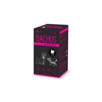 Bachus Small&Healthy, (N60) mažas ir sveikas