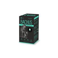 Bachus Teeth&Gums, (N60) dantims ir dantenoms