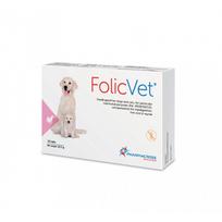 FolicVet, tabletės (N15)