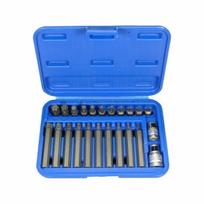 Sukimo antgalių komplektas Condor Werkzeug C1011/1; 3/8''+1/2''; Torx T10-55; 23 vnt.