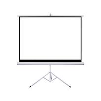 Projector screen with tripod ET-2 (113")