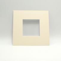 Pasportas 20x20/10x10 gelsvas