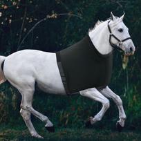 Horse Shoulder Guard Adjustable Straps Reusable Portable Chest Saver Fitting Stretch Equestrian white