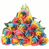 10 vnt. vaivorykštės dirbtinės rožės, 50 cm, dirbtinės gėlės, dirbtinės rožės, šilkinės gėlės su koteliais, namų, vestuvių, viešbučio, biuro puošybai