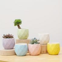 6 vnt., Makaronų sukulentų gėlių vazonas Keraminis mažas gėlių vazonas Stalinis kaktusų mini nykščio gėlių vazonas Spalvingas gėlių gamintojas 6pcs Pots (without Plants)