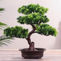 Gražus Pušies Dekoratyvinis Bonsai Imitacija Ir Realistiškas Pasidaryk Pats Paprastas Vazoninių Augalų Ornamentas ARI B žalia