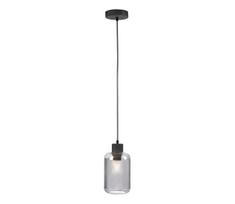 Paul Neuhaus 2006-25 - Pakabinamas sietynas BOLETUS 1xE27/10W/230V diametras 14 cm pilka