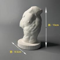 Ancient Greek Mythology Centaur Torso Art, Plaster Sculpture, Statue, replica Art, Decorative Gifts šviesiai pilka spalva