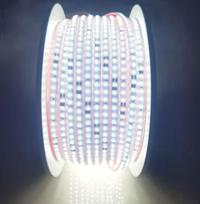 LED juosta 2835, 220v Šalta balta spalva 8w ip67