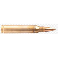 Fiocchi 223 Rem FMJ 4g 50vnt