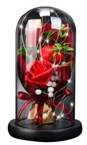 Amžina rožė kupole Red Rose