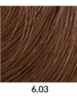 Keune plaukų dažai Keune TINTA COLOR 6.03, 60ml