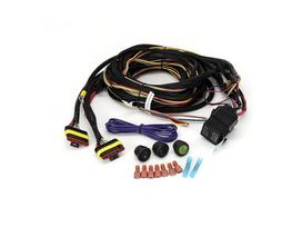 Lazer Two-Lamp Harness Kit - Long (Beacon, 12V)