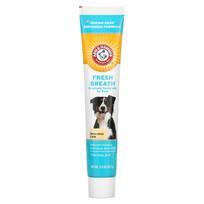Arm & Hammer, blogo kvapo šalinimas, fermentinis dantų pastos, šunims, vanilės imbiero, 67,5 g (2,5 uncijos) white