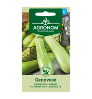 Cukinijų sėklos GENOVESE, 1,5 g