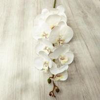 5 vnt. Šilkinės gėlės Lateksinės druginės orchidėjos 9 žiedų Realus prisilietimas Dirbtinės Phalaenopsis orchidėjos namų gėlių dekoravimui black
