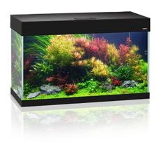 Akvariumas Aquael Opti Set 125L, juodas, su įranga