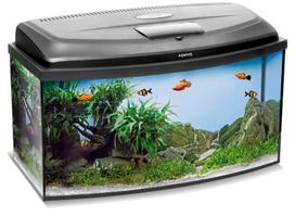 Akvariumas Aquael Classic Box 40/O D&N 20L, juodas, su įranga