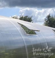 Stoglangis šiltnamiui Maxi