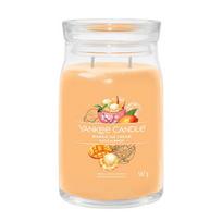Yankee Candle kvapioji žvakė Mango Ice Cream 567 g