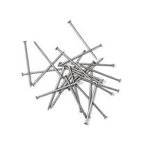 Vinys statybinės 2,5x60 mm 5 kg Ukraina Savex
