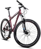 Dviratis Romet Rambler FIT 26 2025 bordo-silver