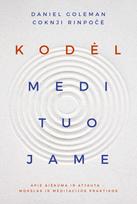 Kodėl medituojame
