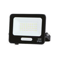 30W LED prožektorius, juodas, 6000K