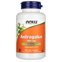 Now Foods Astragalus (Astragalus) 500 mg - 100 kapsulių