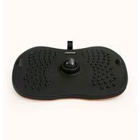 Swedish Posture Balance Board Stand