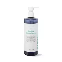 Parfumuotas rankų ir kūno prausiklis 'Feuilles d'Eucalyptus', 500ml
