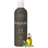 Drėkinamasis šampūnas sausiems plaukams, 250ml