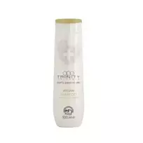 Regeneruojantis plaukų šampūnas, 300ml