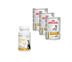 ROYAL CANIN Urinary S/O 3x410g skardinė + LAB-V Urinary Dog - Pagalba šunims sergant šlapimo takų infekcija 45 kapsulės