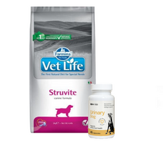 FARMINA Vet Life Dog Struvite (šlapimo) 2kg + LAB-V Urinary Dog - Pagalba šunims sergant šlapimo takų infekcija 45 kapsulės