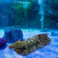 Akvariumo Krokodilas Oro Akmuo Žuvų Bakas Burbuliatorius Dekoracija Figūrėlė Derva Multifunkcinis