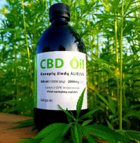 CBD Alyvuogių Aliejus 2000mg (500ml) Cannamama