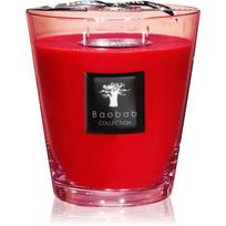 Baobab Collection All Seasons Masaai Spirit kvapioji žvakė 1000 g