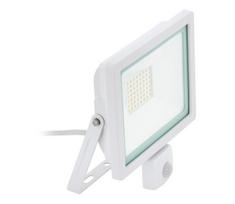 Eglo 64876 - LED prožektorius su jutikliu FILETTI LED/30W/230V 3000K IP44 balta
