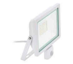 Eglo 64877 - LED prožektorius su jutikliu FILETTI LED/50W/230V 3000K IP44 balta