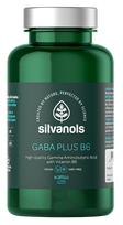 SILVANOLS Gaba Plus B6 kapsulės, 90 vnt.