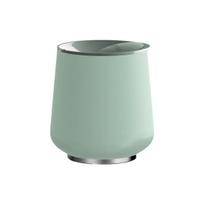 Fellow Ruby Wine Tumbler Mint Chip termo gertuvė - 354 ml, mėtinė