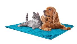 Super absorbant microfiber mat 65x90cm | 10573 | 8011391496503
