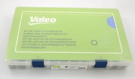 Remonto komplektas, siurblio-purkštuko blokas (Pumpe duse) VAL509725