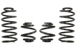 Žeminanti spyruoklė, Pro-Kit, 4vnt., pažeminimas priekis: 25mm, pažeminimas galas: 25mm,, Tinka: AUDI TT 1.8 T quattro 10.98-06.06