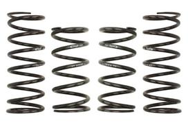 Žeminanti spyruoklė, Pro-Kit, 4vnt., pažeminimas priekis: 25mm, pažeminimas galas: 25mm,, Tinka: MAZDA MX-5 I 1.6 (NA6C)/1.8 (NA8C) 05.90-04.98